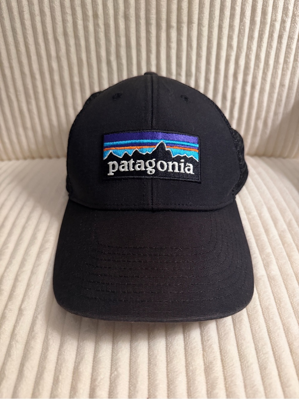 Patagonia Black Trucker Hat